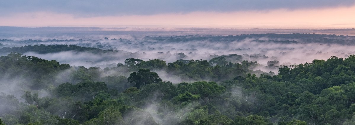 Guatemala's decentralised approach to conservation has benefitted citizens while protecting the country's natural resources.

But many worry a sweeping new bill in congress could put all that at risk, write <a href="/elapachabotones/">Jorge Rodríguez</a> and María Sagastume.

Read here:
gndmedia.co.uk/articles/guate…