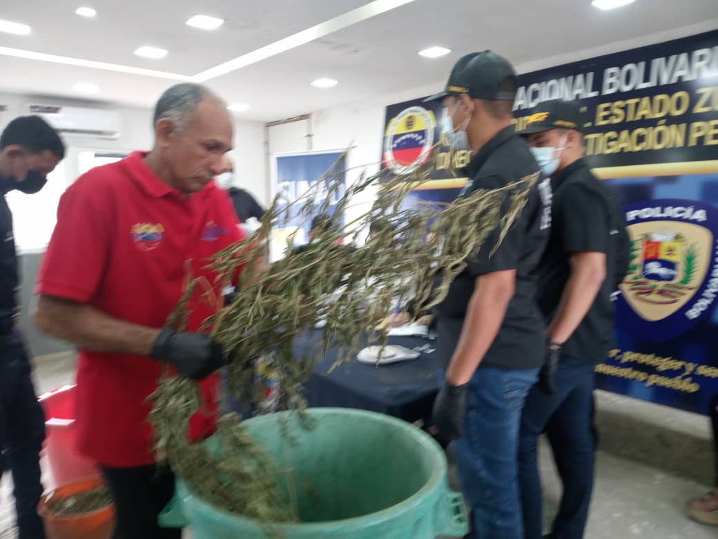 snantidrogas_ve's tweet photo. La Sunad incineró 6 kilogramos con 808 gramos y 2 miligramos de drogas además de 2 plantas de cannabis. El acto se ejecutó en el municipio San Francisco, estado Zulia. 

✅En presencia de la Jueza 6to. de  Control, Marilis Bravo. https://t.co/p8pRXwJC0m