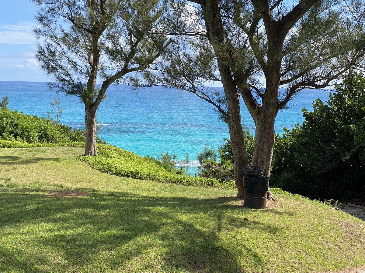 LouBouStar's tweet photo. After a funny old day, I find myself wondering why I didn’t hop across to my happy place, this summer…#bermudiful #heavenonearth https://t.co/ldMi9pnEqB