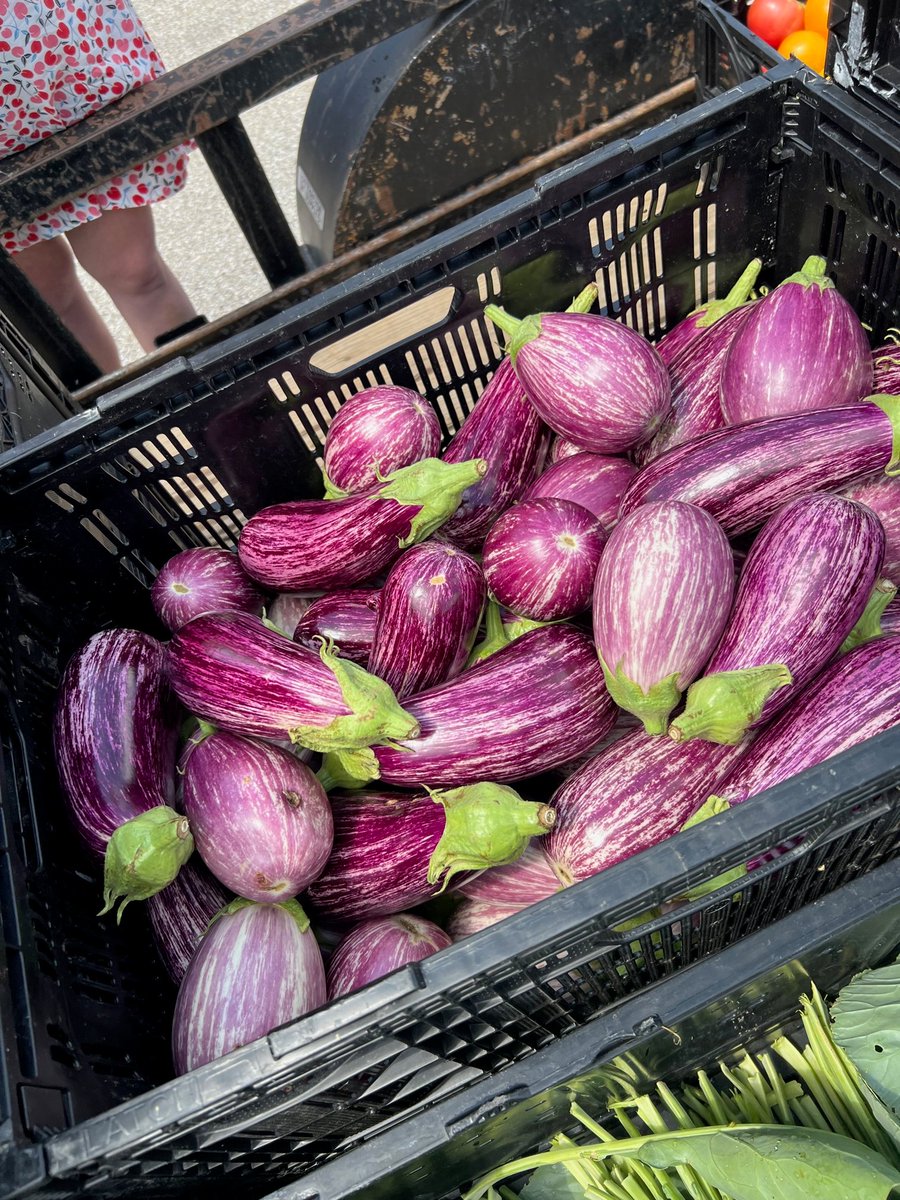MoorheadCRC's tweet photo. BREAKING NEWS:

MCRC will have a free FRESH PRODUCE stand for our Warren families for the next four weeks!  The produce stand will be open on Tuesdays from 6pm - 7pm.  It will be located right outside our front door.  Please bring your own bags. Rain or shine https://t.co/NlNt78TirF