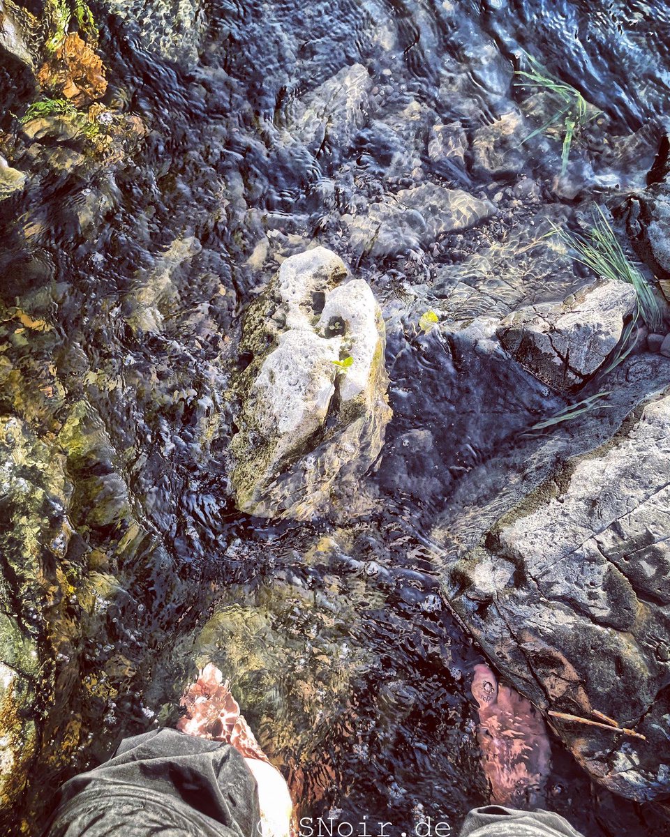 stefan_noir's tweet photo. Heute spielfrei; morgen Götterdämmerung; heute am Wasser relaxen, morgen im Festspielhaus konzentriert schauen u. hören. 

#sn #dichterauskronach #denker #dichter #kronach #bayreuth #wagner #derring #spielfrei #zwischensiegfriedundgoetterdaemmerung https://t.co/kNYydqk2eq