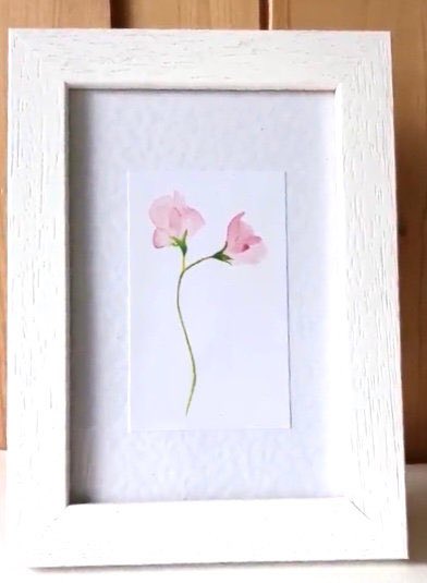 Jan Purves tweet media