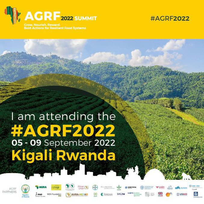 UzayisengaGerm1's tweet photo. This is an opportunity for Youth to learn from various stakeholders that will gather here in Rwanda.
#agriculturallandscape to take practical actions,
#sharelessons/experience that will help to move African Agriculture forward.
Can't manage to miss this opportunity https://t.co/mxYcGZ9dVr