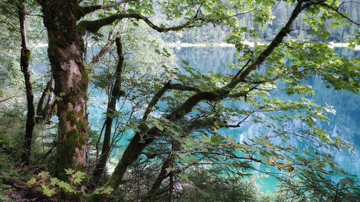 leftwing1974's tweet photo. #Gosausee #Austria https://t.co/xLhatwskWR