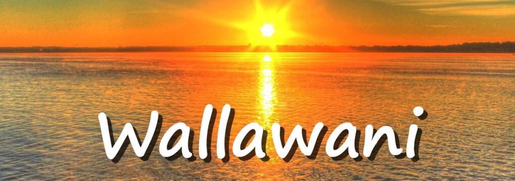 LlibyShab's tweet photo. Wallawani and top of the morning my Facebook friends &amp; family. 

Being positive isn’t easy but I’ve learned that you can train your mind so that it becomes much easier when the negative triggers set in. 

Have a deadly day. Stay positive and keep smiling. 

#LoveLivingLovingLife https://t.co/CXlG3elep1