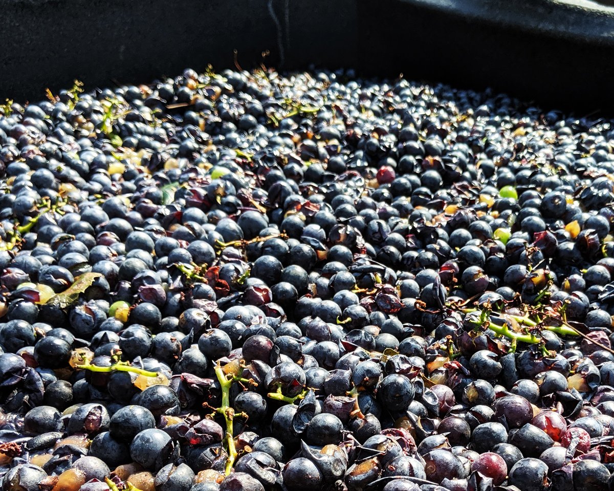 The Blufftop at Rocheport tweet media