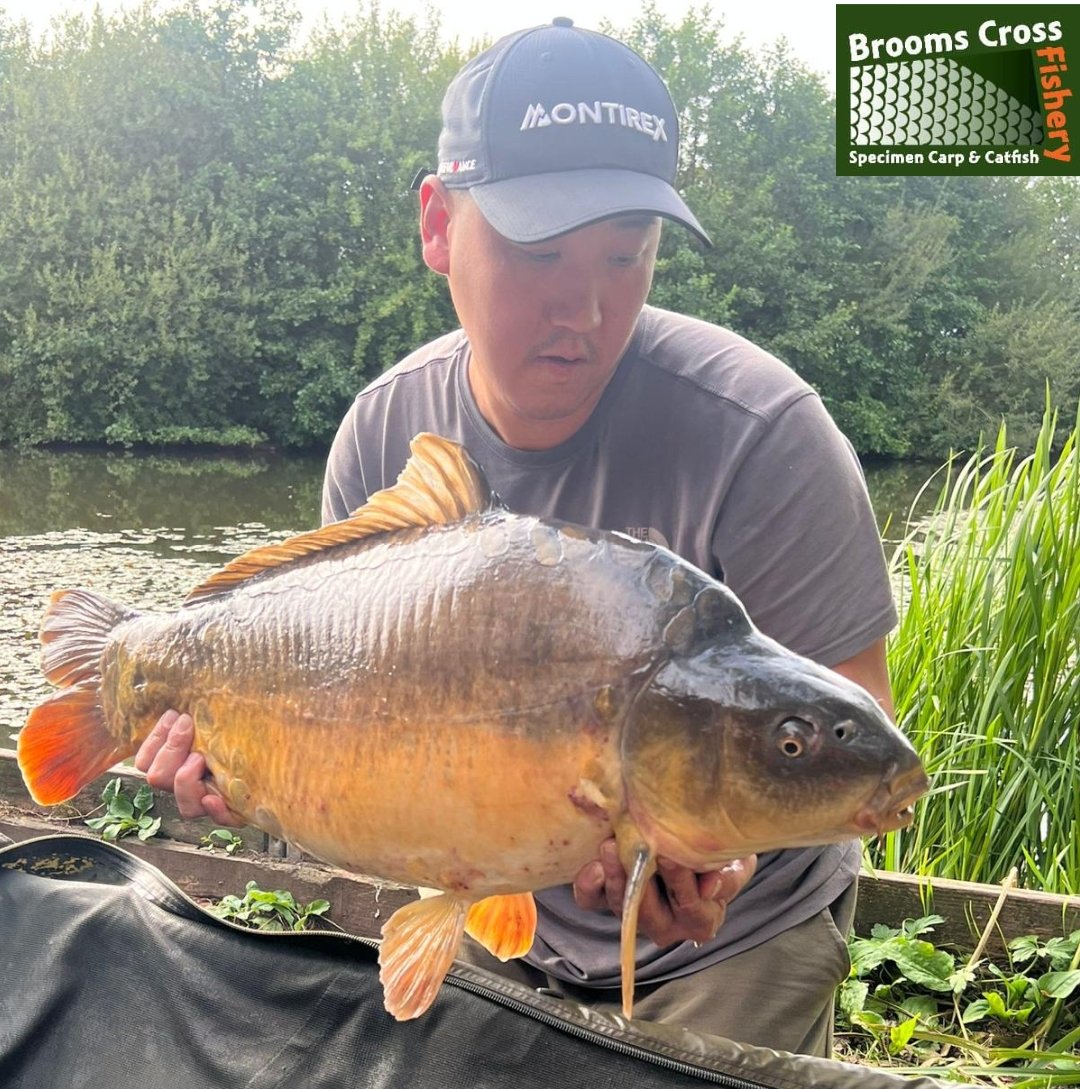 ** P B ALERT**
Down onto Lower Alt now and it's a personal best for John Yu with Measles at 26lb 10ozs.
Congratulations John.
07740082025 for all bookings and peg availability