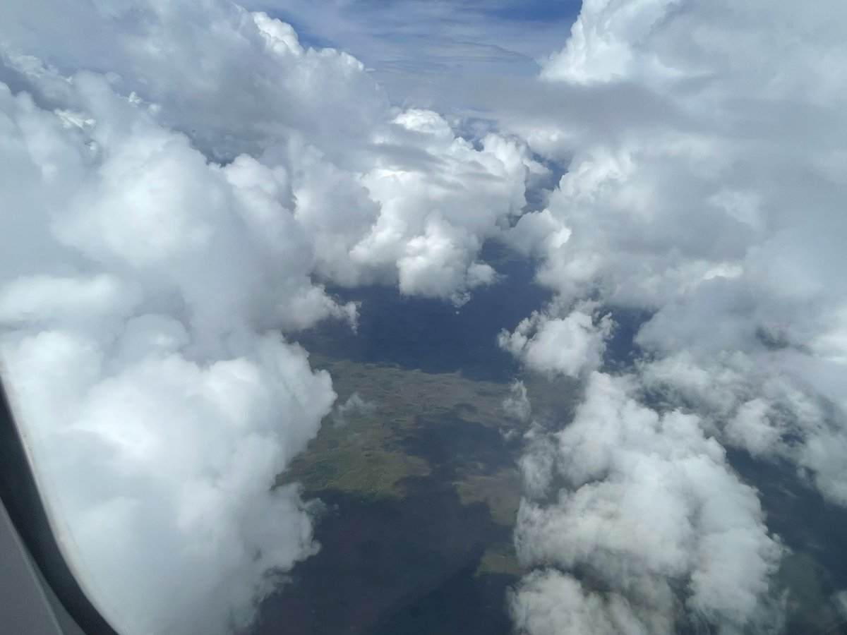 Lindy Elkins-Tanton tweet media