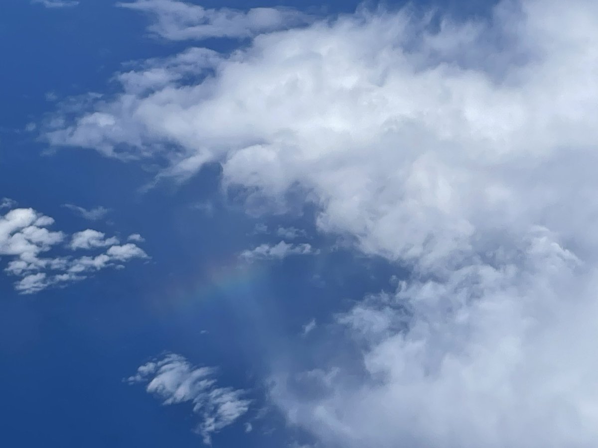 Lindy Elkins-Tanton tweet media