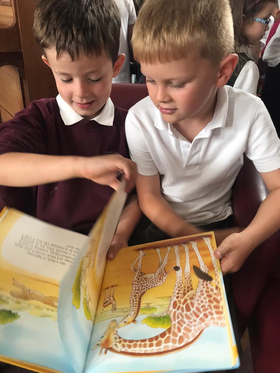 MrsOSheaTeaches's tweet photo. Our first trip to the library https://t.co/t0MrkDK4iU