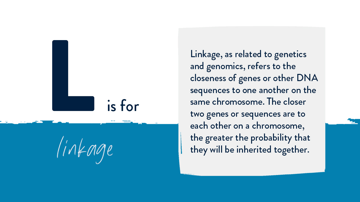 genetix_biotx's tweet photo. #ABCsOfGenetics — A common term in genetics and genomics is linkage — but what does it mean?
Learn more about gene therapy and its related terms: https://t.co/swP0JBS9sZ https://t.co/BxjmcTb88w