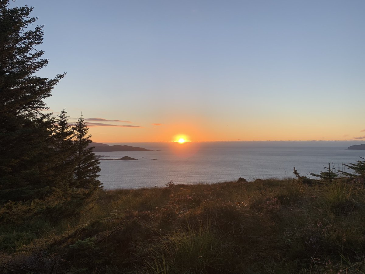 Karrilou🌻🪗 tweet media