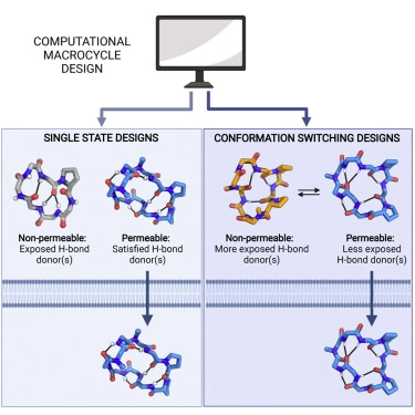 Institute for Protein Design tweet media