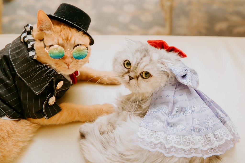 A Victoriana inspired Wedding in Colorado with beautiful burgundy, blush &amp; cream details and and Alice in Wonderland influences
Images <a href="/fromthehipphoto/">From the Hip Photo</a> at <a href="/lionsgatecenter/">Lionsgate Center</a> 
bit.ly/3wCq0rx