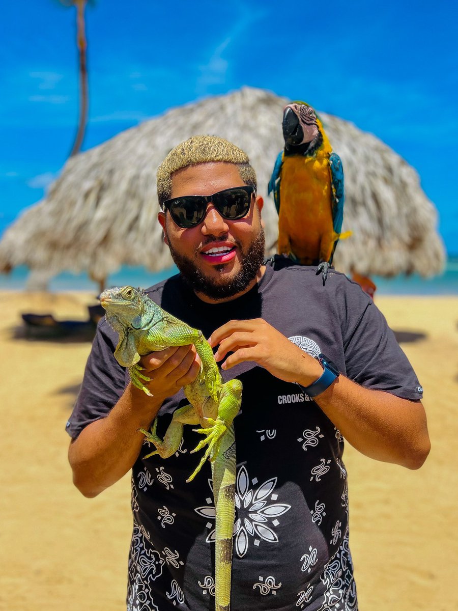 TheRealRandeazy's tweet photo. 🏝🦜 https://t.co/YlrdEOYqLY