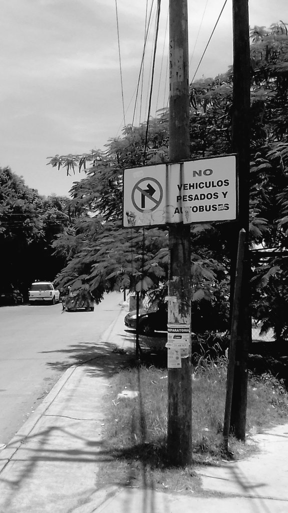 isaacmoon2020's tweet photo. La secuencia de temática en blanco y negro sigue vigente acá en twitter #Twitter #blackandwhite #blackandwhitephotography #blackandwhitepic #blackandwhitepics #blackandwhiteart #photo #photograghy #PhotographyIsArt #photographyart #secuencia #secuencias #tematica #tematicas https://t.co/Fwe31GSb1v