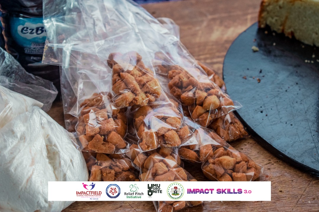 impactfield_'s tweet photo. Impactfield Global Youth Initiative in collaboration with Amaka Nweke Foundation, Relief Pitch, Umu Igbo Unite and Office of Public Enlightenment Government House on 26th August empowered youths/teens of Agba Umana in Ezeagu LGA Enugu State with various skills under the project https://t.co/WYjmSnMTUd