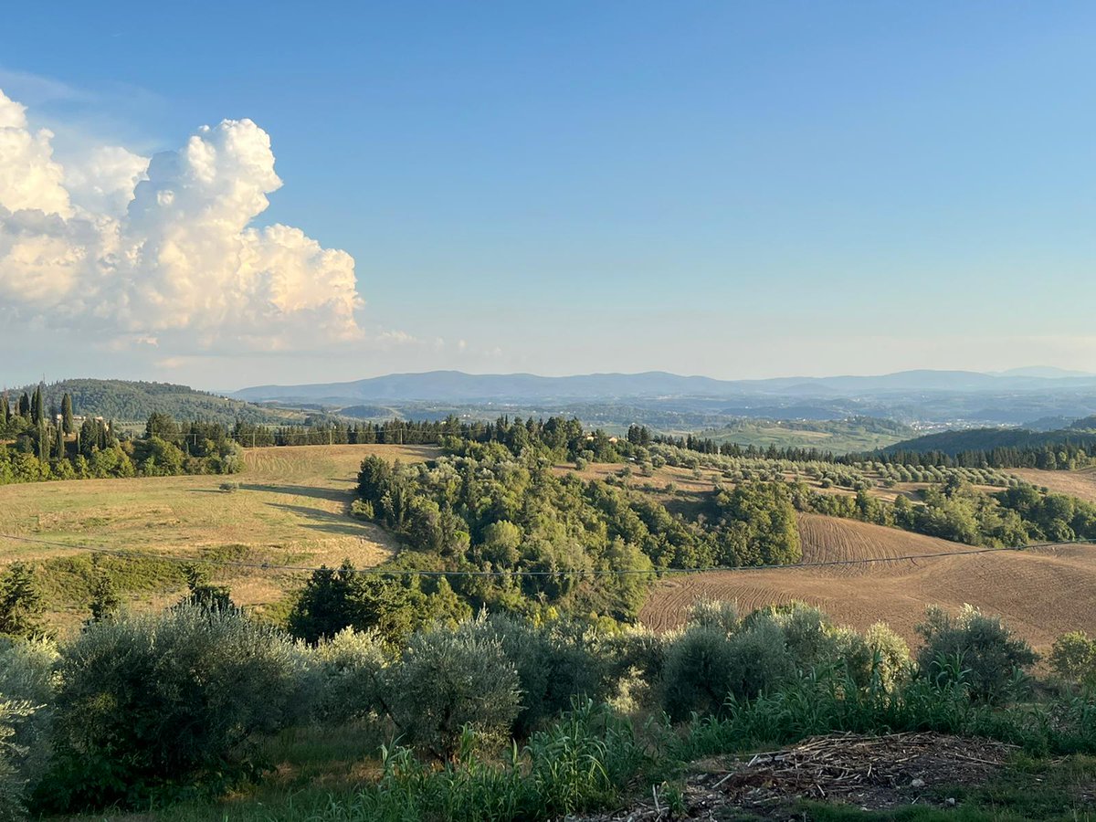 GoAskALocal's tweet photo. Heading to #Tuscany? Skip taking photos of a tower in Pisa and head to the countryside instead! Explore local, family-run vineyards and quiet country lanes surrounded by stunning nature. 

Better yet, go for a hike with Local Expert Stefano!
https://t.co/1u4N4JVJke. https://t.co/8F8NbUwn3L