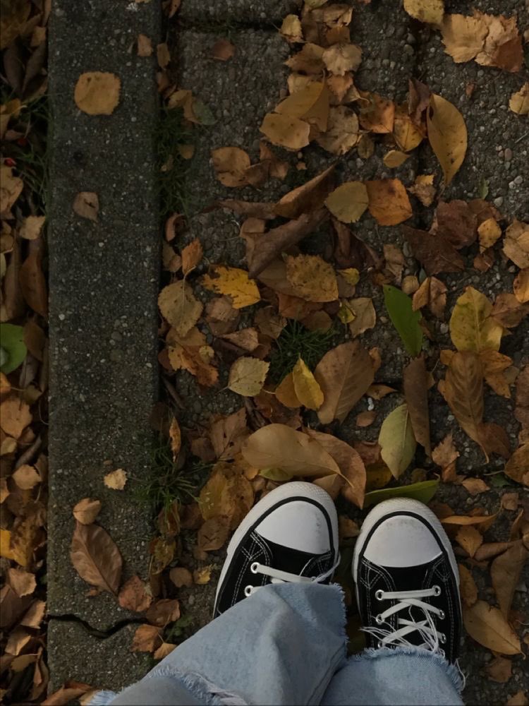 faedust2's tweet photo. Fall core is so cozy #fall #fallcore #aesthetic #Halloween https://t.co/9BUJyonODG