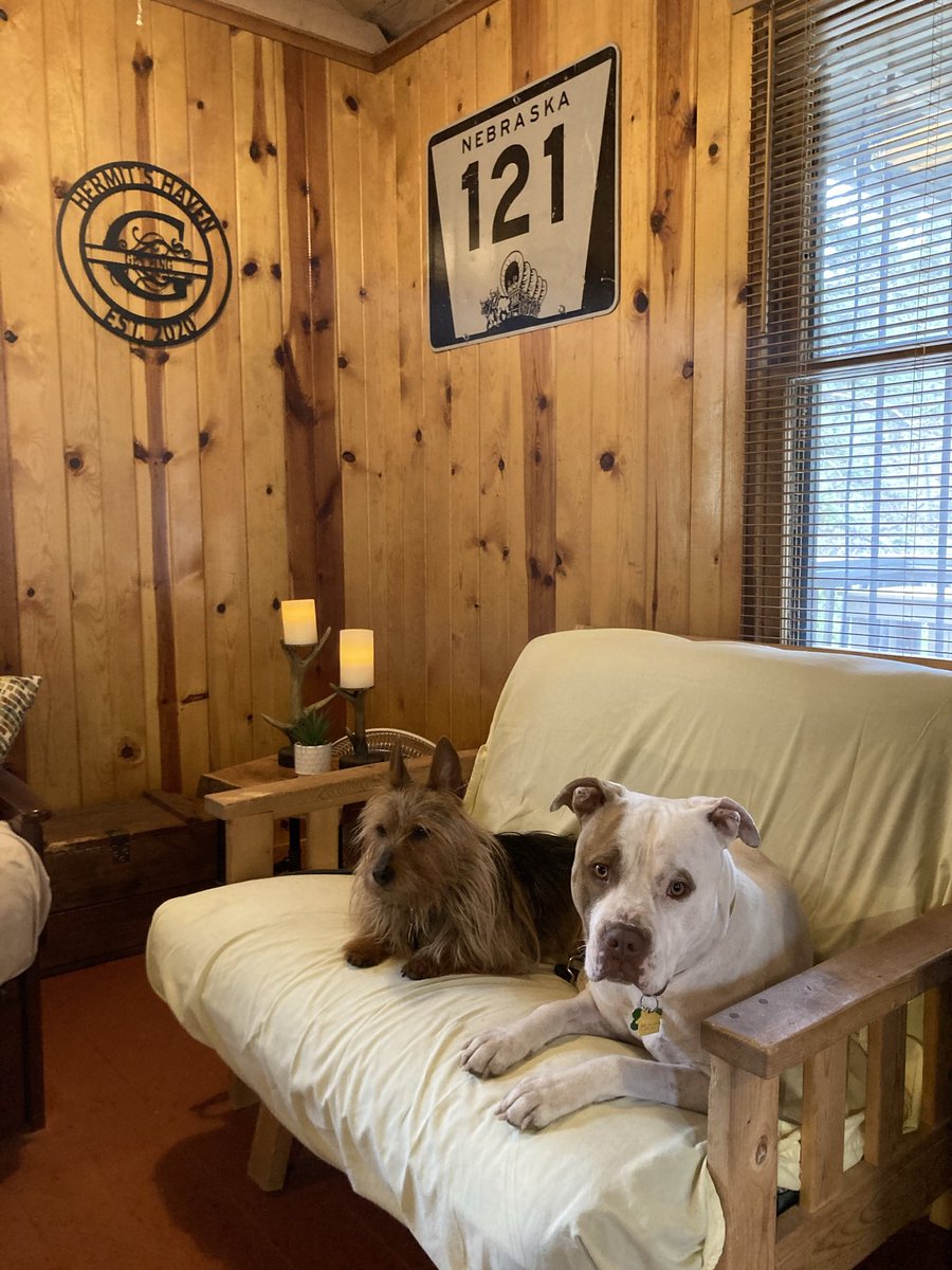 RodGetting's tweet photo. @dog_rates @Trupanion Ollie and Miss Emma, chilling on the couch. https://t.co/0PI31mAtag