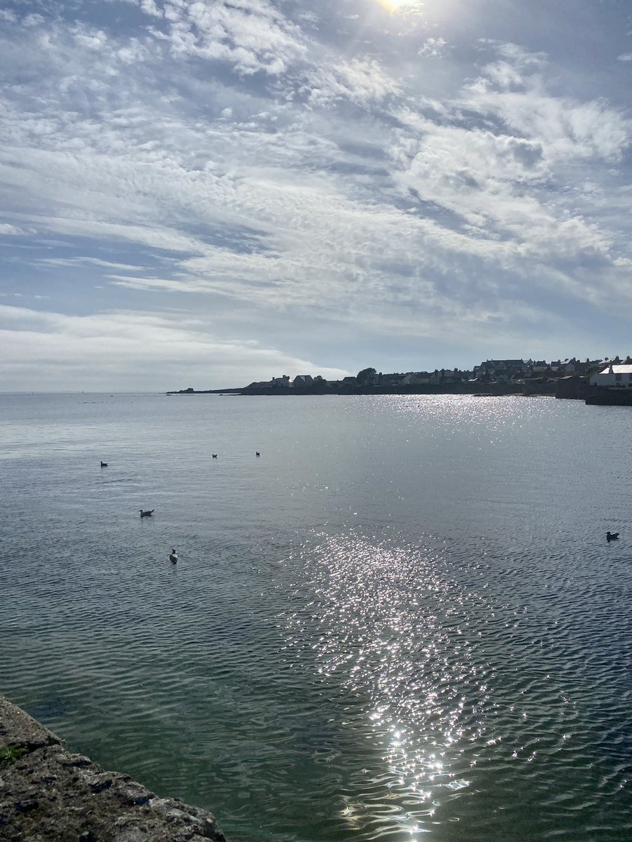 AngelaK1990's tweet photo. Magic day in the East Neuk of Fife yesterday. Getting the steps in. Scotland in the summer sunshine at last! Sister in law home from Australia must have brought it with her @celtswalkingon π¦β΄π#crail #anstruther #family #reminiscing #lobsters #TabletNotFudge #FishSuppers https://t.co/7gCor1gCs9