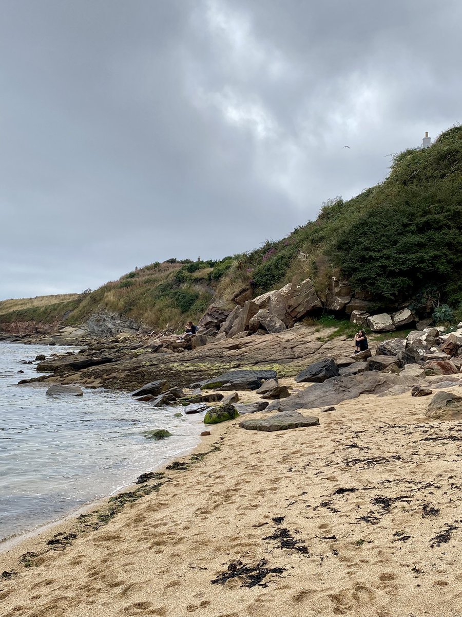 AngelaK1990's tweet photo. Magic day in the East Neuk of Fife yesterday. Getting the steps in. Scotland in the summer sunshine at last! Sister in law home from Australia must have brought it with her @celtswalkingon π¦β΄π#crail #anstruther #family #reminiscing #lobsters #TabletNotFudge #FishSuppers https://t.co/7gCor1gCs9