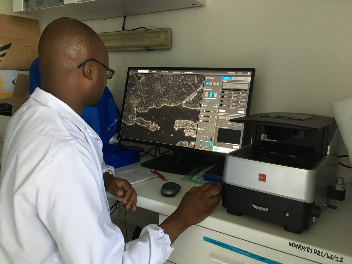 held_kathrin's tweet photo. Last Friday my colleague Wilbert Mbuya @Wilylarry aced his PhD defence on the effect of #HIV on the #HPV-specific immune response! Huge congratulations! It has been a great journey, which I hope we’ll continue for many years to come. @LMU_Uniklinikum @NIMRMbeya https://t.co/OSfnMYbgv0