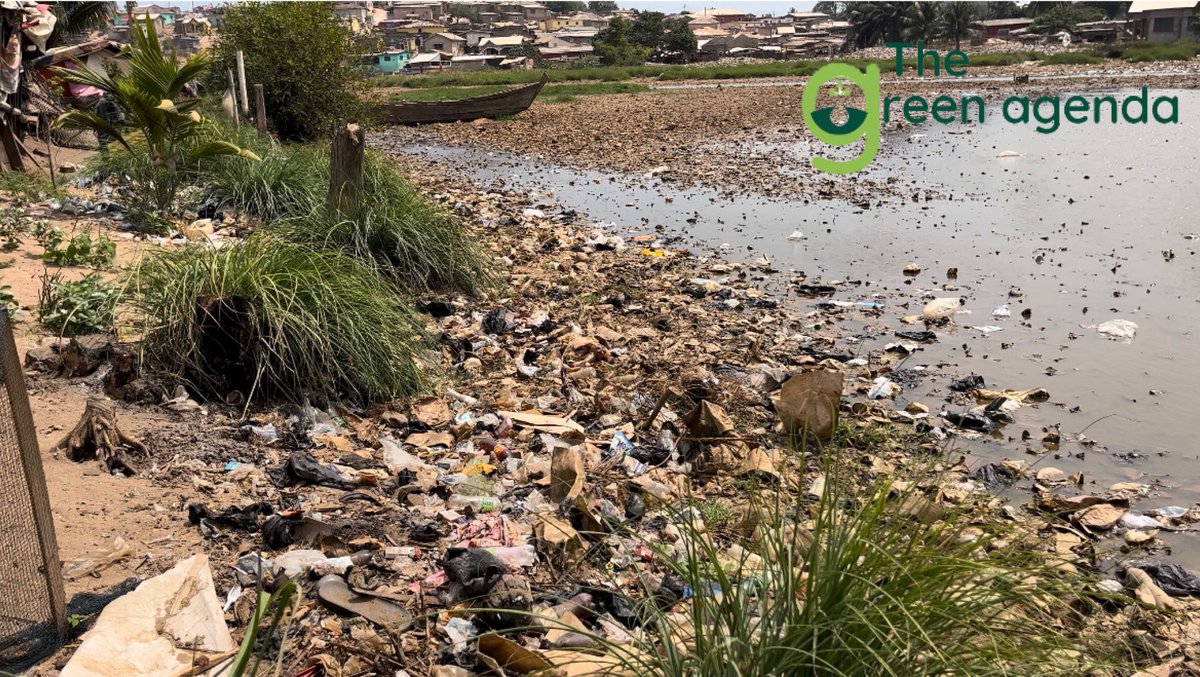 TheGreen_Agenda's tweet photo. Mangroves down from 181 to 72 square meters..follow the documentary here https://t.co/W3n5wTAmXj. @IUCNRedList @IUCN_Water @RamsarConv @StanleyConnect @jnbawole @thePOE_T @IJNet @Internews #accrazoo https://t.co/qFenygZDtg