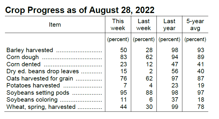 MNagriculture's tweet image. Harvest is underway for many crops, according to @usda_nass MN Crop Report. Oats were 76% harvested. Spring wheat was 44% harvested. Barley was 50% harvested. Potato harvest was 7% complete. ow.ly/CSXT50KuRSR #harvest22 #MNAg #grow22