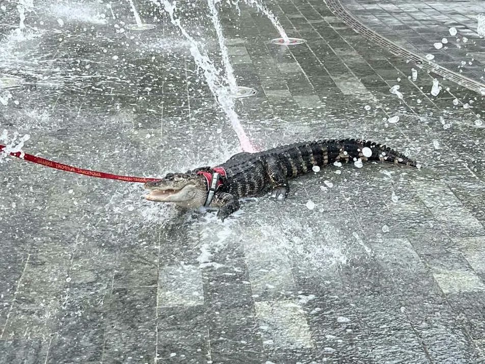 Barstool Sports tweet media