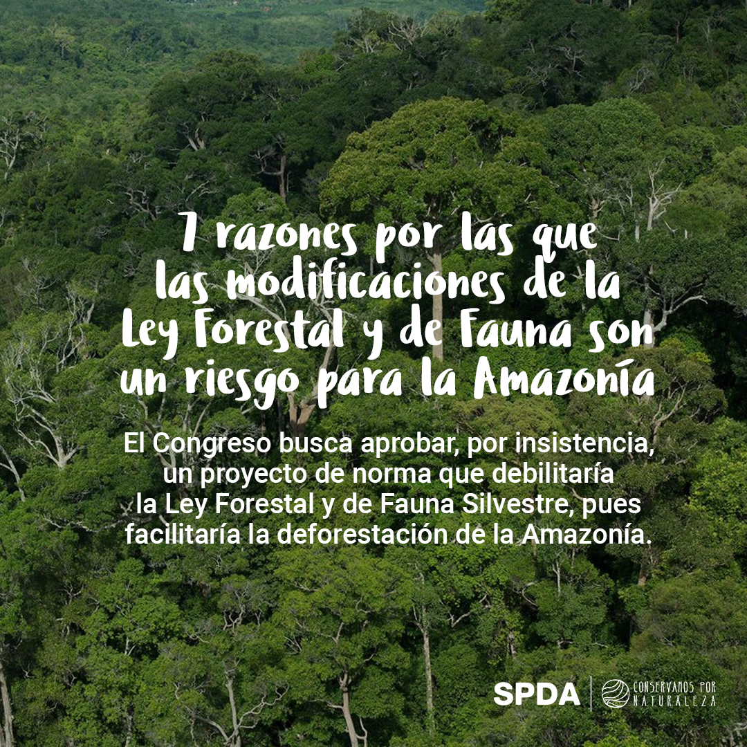 Conservamos's tweet photo. 🚨 #ALERTA #AHORA el #Congreso busca aprobar por insistencia un texto sustitutorio que modifica la Ley Forestal y de Fauna Silvestre, lo que significaría un retroceso en la lucha contra la deforestación de la Amazonía. (1/3)
#SinBosquesNoHayFuturo
#DefendamosNuestrosBosques https://t.co/i8ijGNh446
