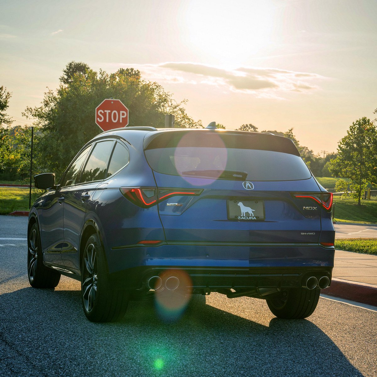 andie_the_lab's tweet photo. This thing seriously felt like I was driving on rails @Acura @AcuraCanada 🥰🥰 #MDXTypeS https://t.co/KqT6BjJMDg