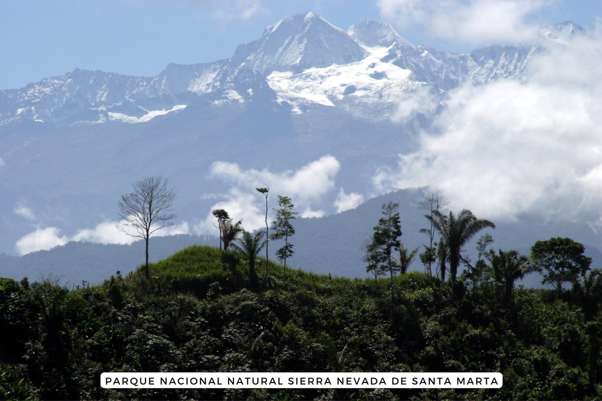 ParquesColombia's tweet photo. #LoSabías | La Sierra Nevada de Santa Marta es considerada la montaña litoral más alta del🌎Se eleva desde las costas del Mar Caribe hasta los 5.775 m.
Esta semana conoce el Parque Nacional Natural Sierra Nevada de Santa Marta en sus 58 años de declaratoria. #Cumple58SierraNevada https://t.co/xYwIFmi8II