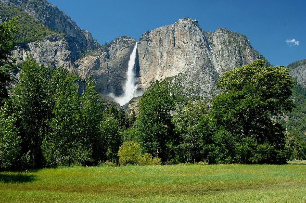 ConservationVIP's tweet image. We are officially on the countdown to our next volunteer project in Yosemite National Park! September 11-17 
We have a few spots left! Won’t you join us in helping to protect and sustain this natural wonder? Learn more and sign up here: conservationvip.org/destinations/y…