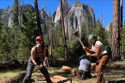 ConservationVIP's tweet image. We are officially on the countdown to our next volunteer project in Yosemite National Park! September 11-17 
We have a few spots left! Won’t you join us in helping to protect and sustain this natural wonder? Learn more and sign up here: conservationvip.org/destinations/y…