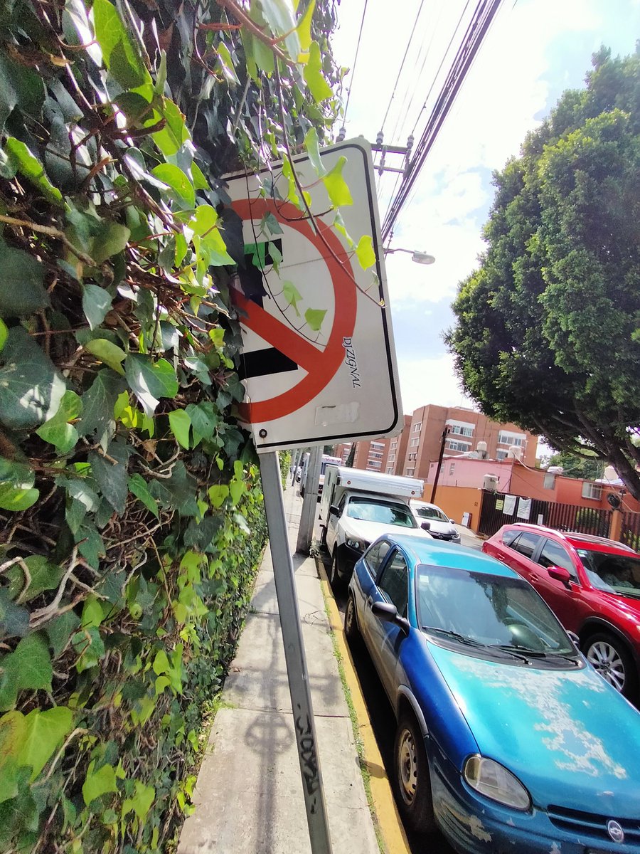 ohzuniga's tweet photo. Vecinos, se que momento se convirtió en estacionamiento parte de la calle de cañaverales, pese a los señalamientos de  NO ESTACIONARSE, a tal grado de que ya nuestros amigos del condominio de los Sauces ya apartan lugares 
@supercivicosmx
@TlalpanAl
@SSC_CDMX 
@alfagonzalezm https://t.co/hbbPK1PJsh