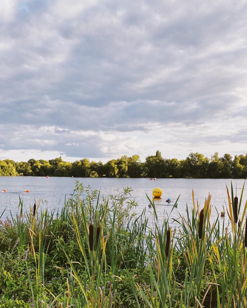 Jessie Sims tweet media