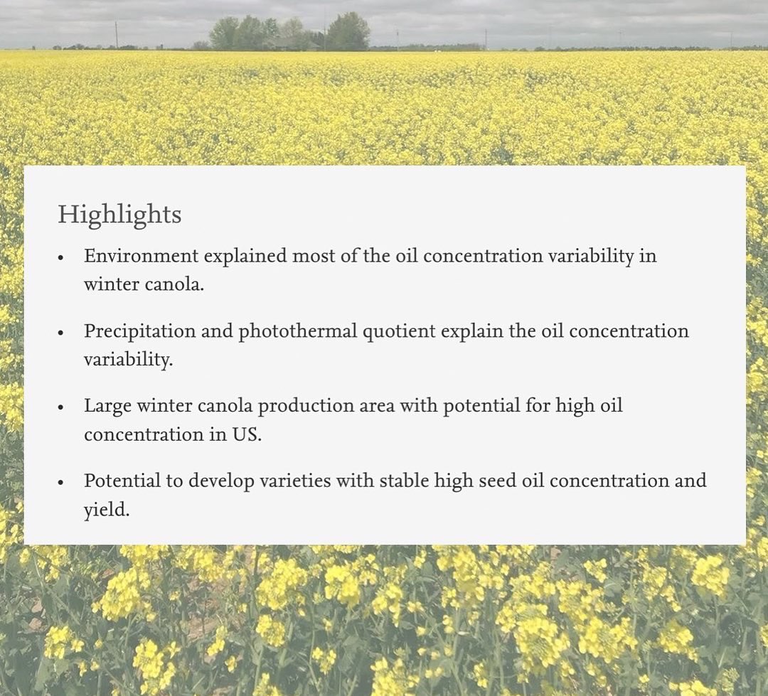 CiampittiLab's tweet photo. #ArticleAlert🚨

This research study aimed to identify suitable production environments with increased canola seed oil concentration and opportunities to increase cropland areas in the US.

Read article: https://t.co/0TMj3KvSRe https://t.co/e05e0ZbYvD