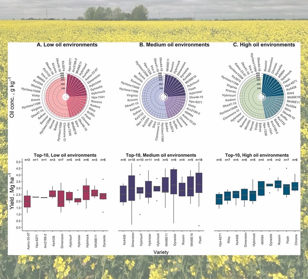 CiampittiLab's tweet photo. #ArticleAlert🚨

This research study aimed to identify suitable production environments with increased canola seed oil concentration and opportunities to increase cropland areas in the US.

Read article: https://t.co/0TMj3KvSRe https://t.co/e05e0ZbYvD
