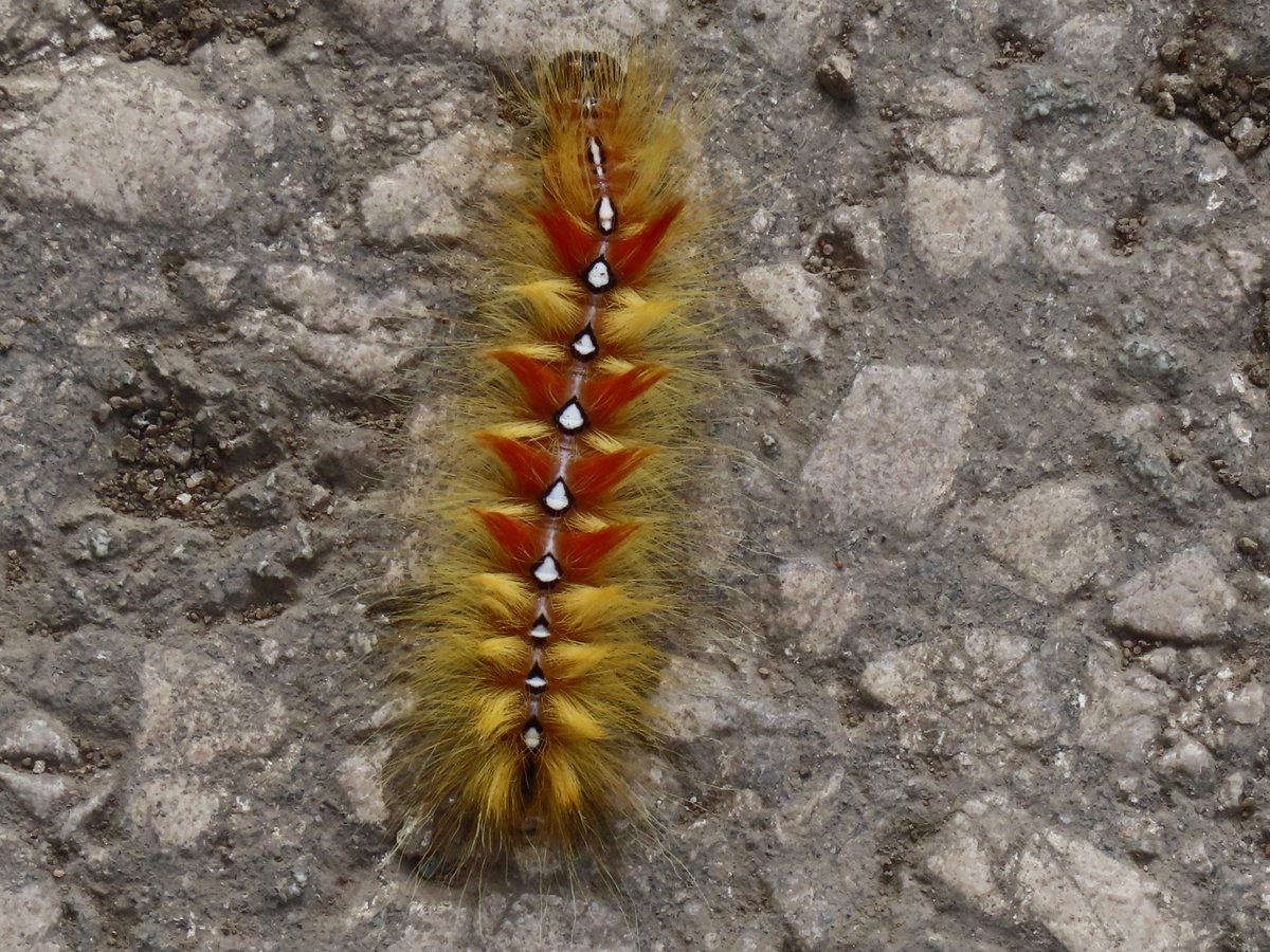 Kevin Bradshaw tweet media