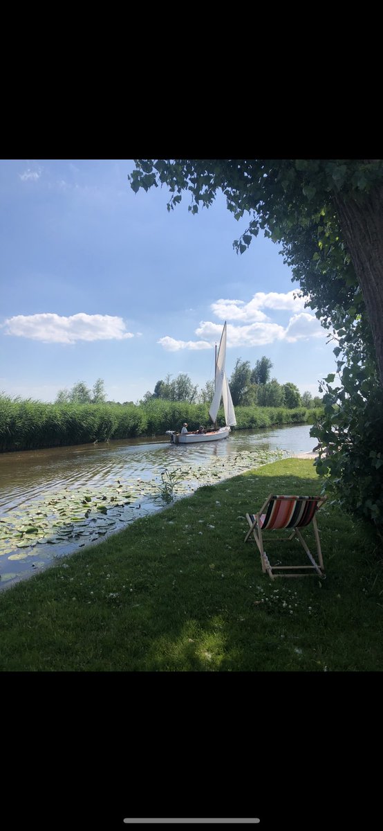 florentine brouwer tweet media