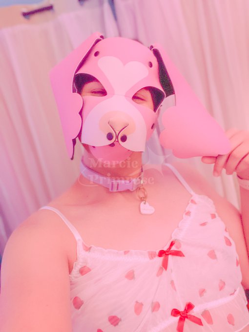 _pup_dreams