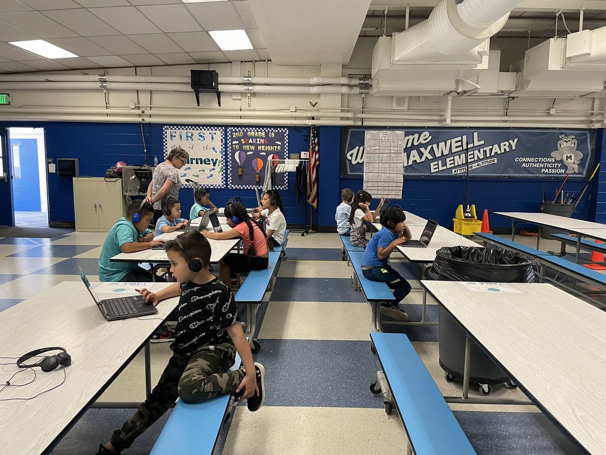 maxwellbulldogs tweet media