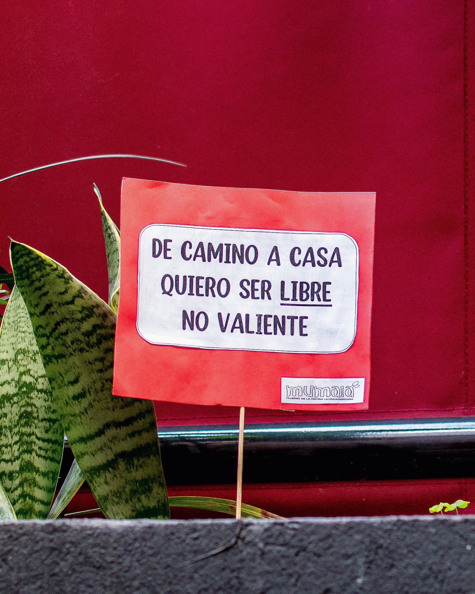 FbX0PgwXEAAKFFy?format=jpg&name=large