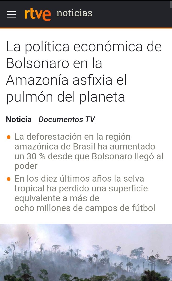 Bolsonaro quemó la Amazonía? Recordemos que empresas forestales chilenas cómo CMPC operan en Brasil, coincidencia quizás y también podríamos hilar más fino con lo que sucede en el sur de Chile.