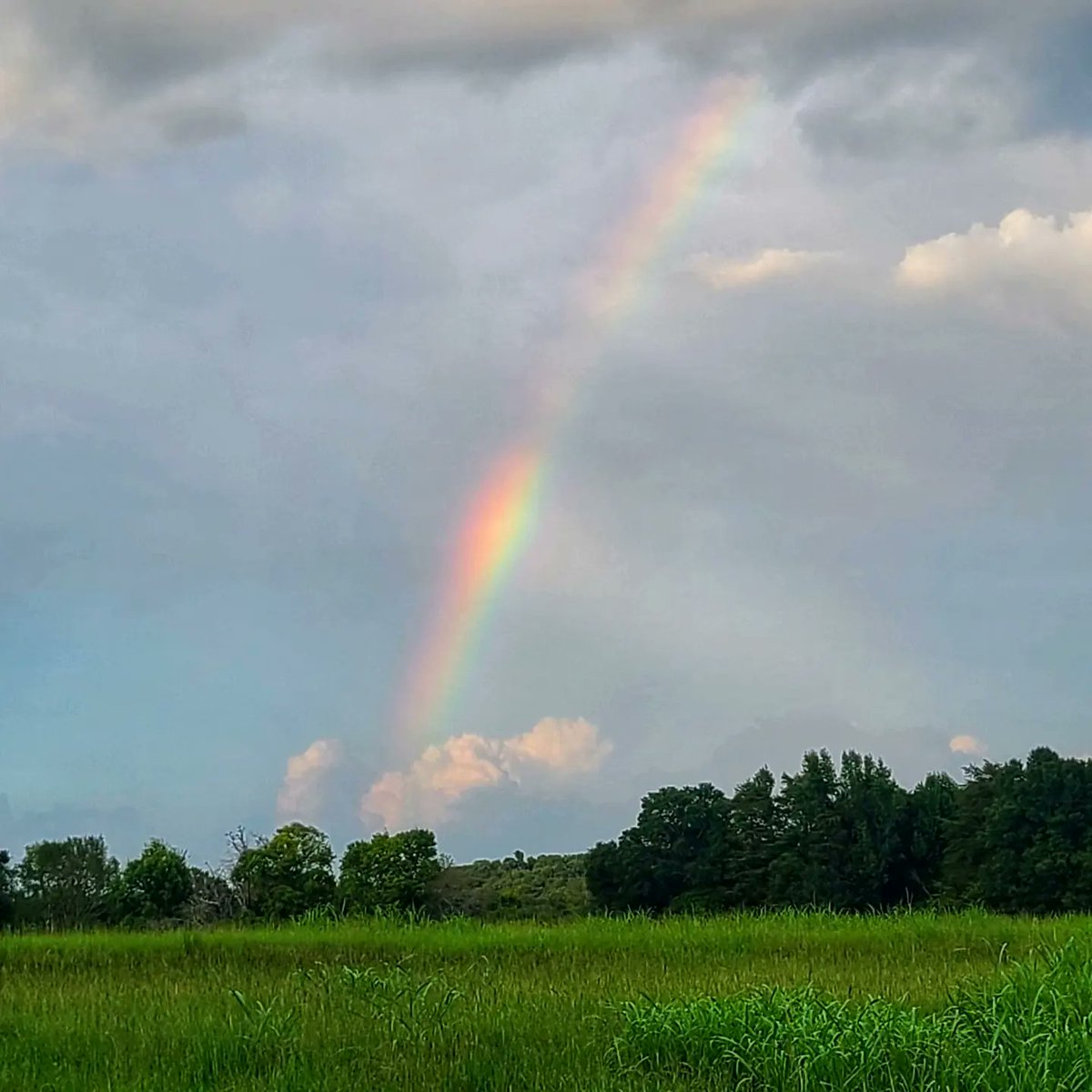grammergorun's tweet photo. 🌈 https://t.co/MuyNJ1dRN3