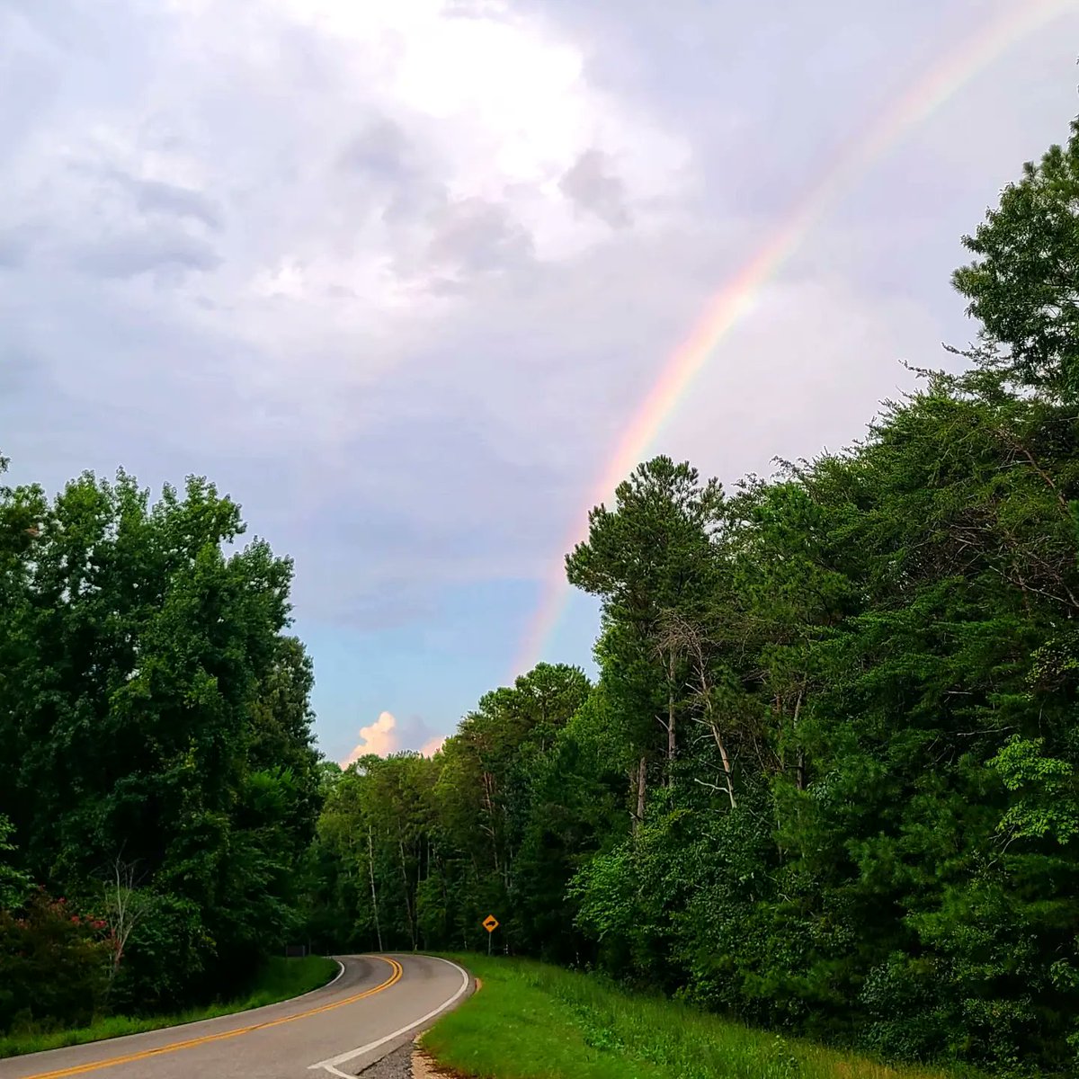 grammergorun's tweet photo. 🌈 https://t.co/MuyNJ1dRN3