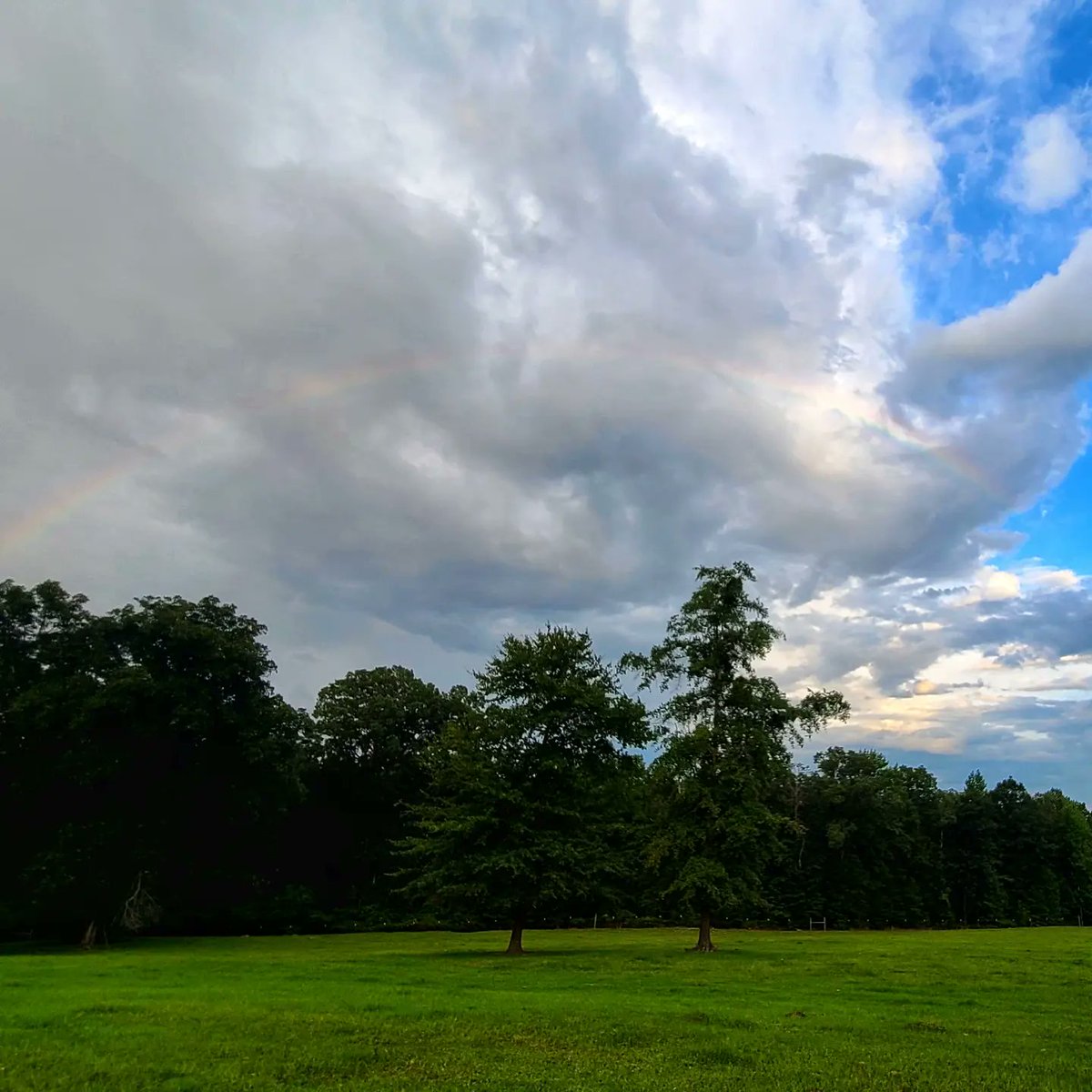 grammergorun's tweet photo. 🌈 https://t.co/MuyNJ1dRN3