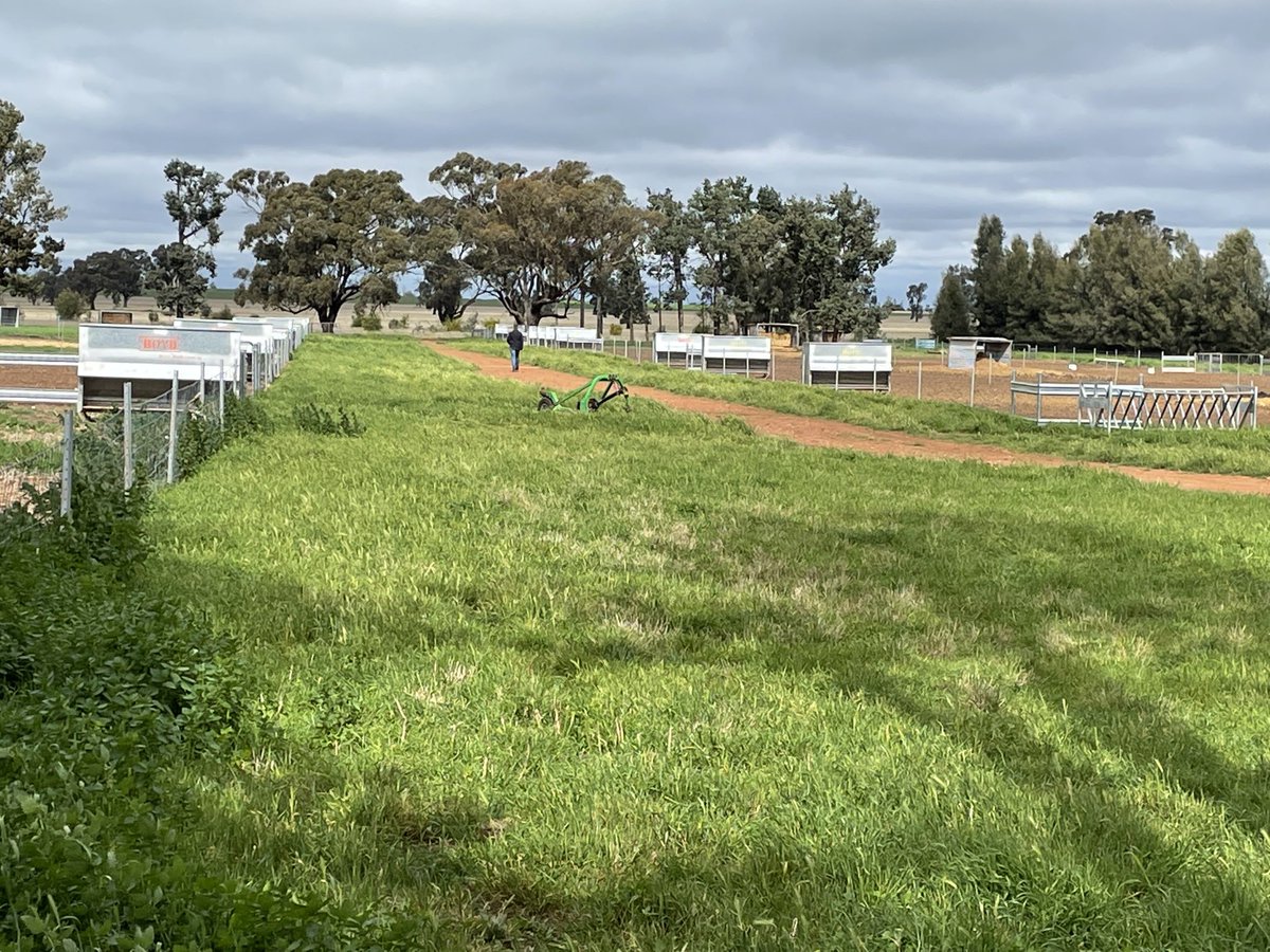 Geoff Minchin tweet media