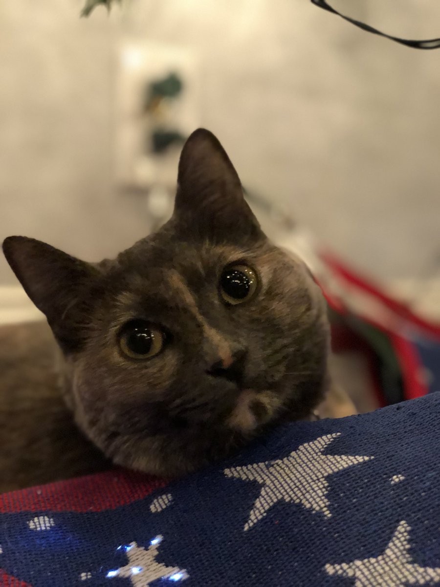 Betsabel Chicana, PhD tweet media